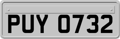 PUY0732