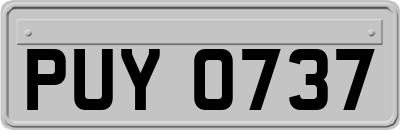 PUY0737