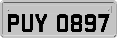 PUY0897