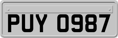 PUY0987