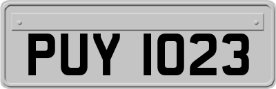 PUY1023