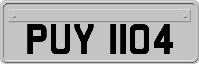 PUY1104