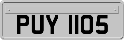 PUY1105