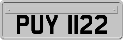 PUY1122