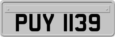 PUY1139