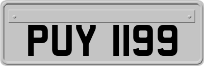 PUY1199