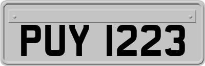 PUY1223
