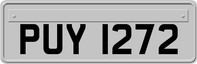 PUY1272