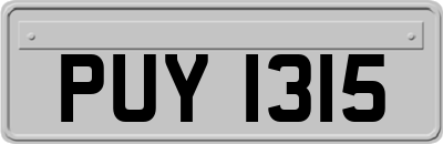 PUY1315