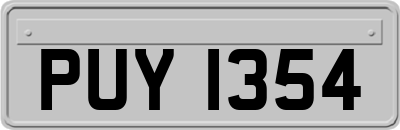 PUY1354