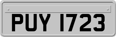 PUY1723