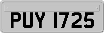 PUY1725