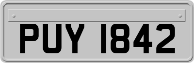 PUY1842