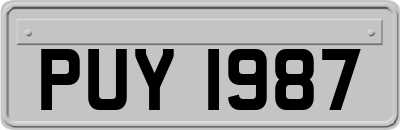PUY1987