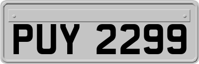 PUY2299