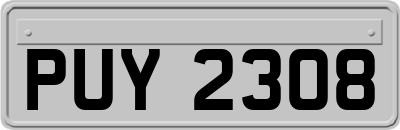 PUY2308