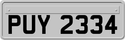 PUY2334