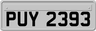 PUY2393