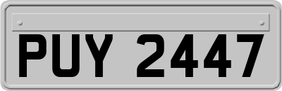 PUY2447