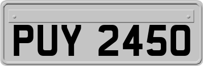 PUY2450