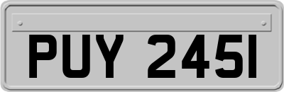 PUY2451