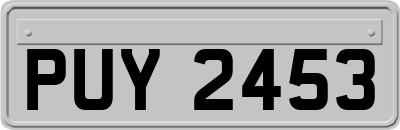 PUY2453