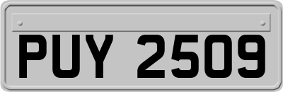 PUY2509