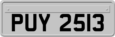 PUY2513