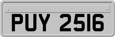 PUY2516