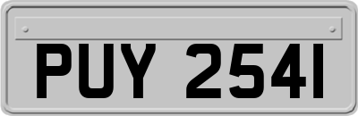 PUY2541