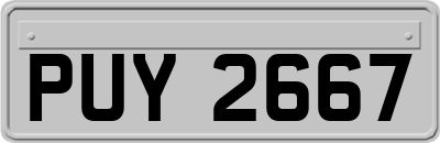 PUY2667