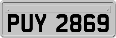 PUY2869