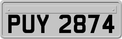 PUY2874