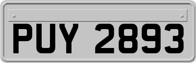 PUY2893