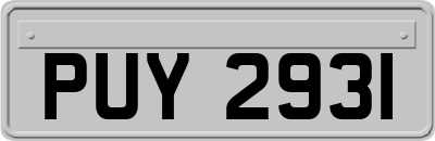 PUY2931