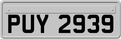 PUY2939