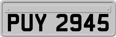 PUY2945