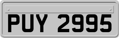 PUY2995