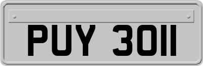 PUY3011