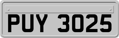 PUY3025