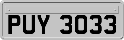 PUY3033