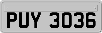 PUY3036