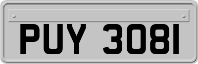 PUY3081