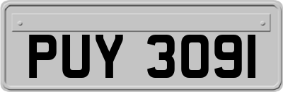 PUY3091
