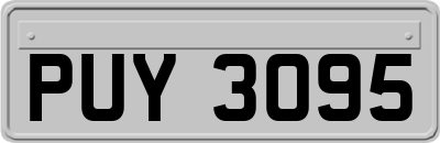 PUY3095