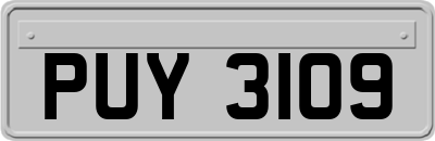 PUY3109