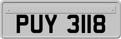 PUY3118