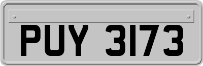 PUY3173