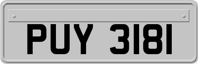 PUY3181