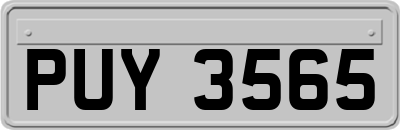 PUY3565